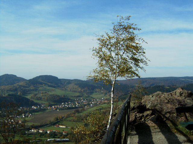 Schmalkalden Baum