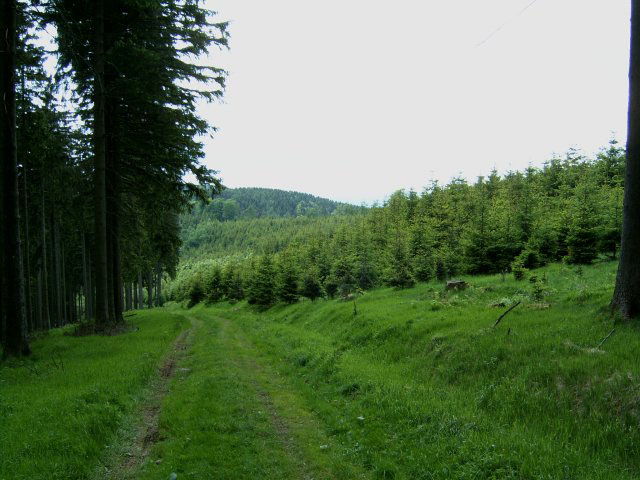 Schmalkalden Grüner Weg