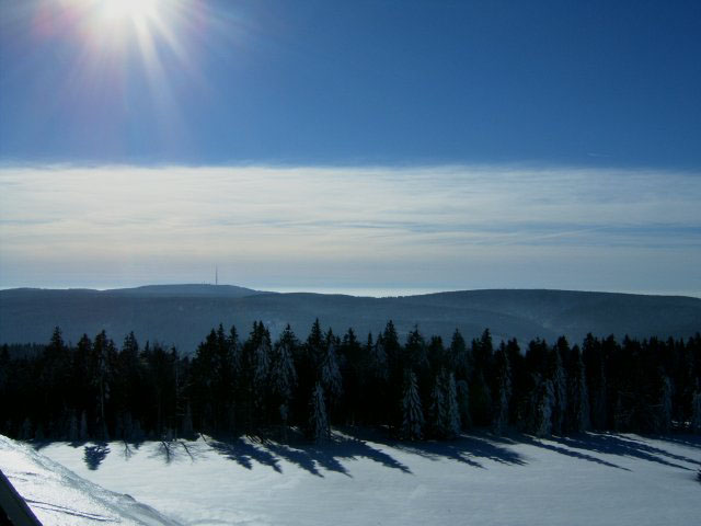 Schmalkalden Wald im Schnee